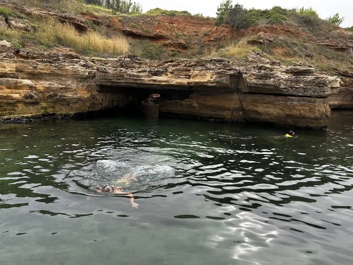 Barracuda 545 (115 HP) - Maslenica