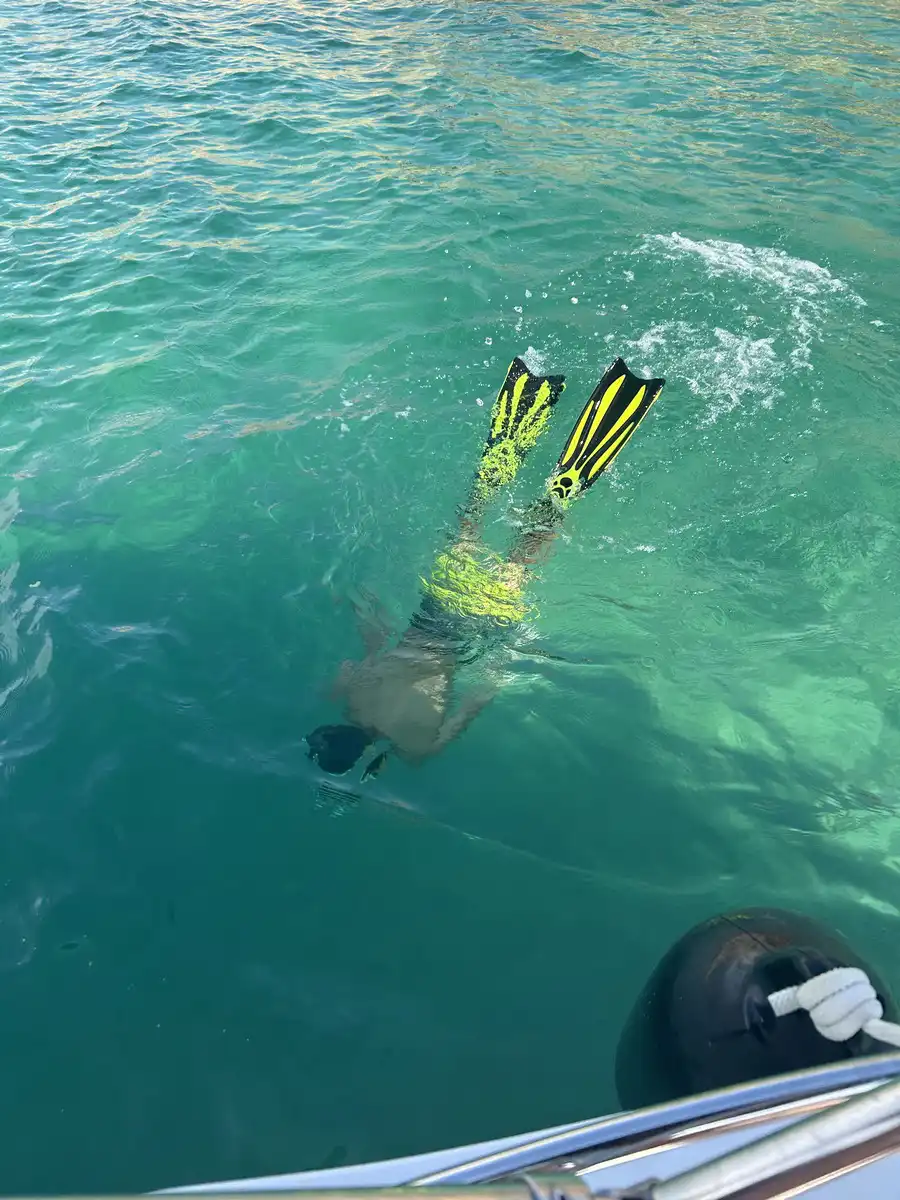 Barracuda 545 (115 HP) - Maslenica